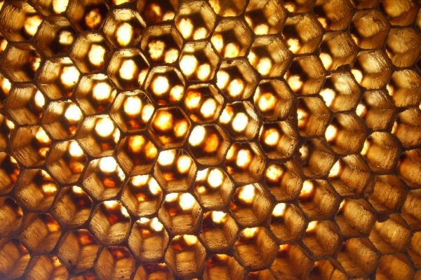 Honeycombs källkod släppt av Asus imagecreatephpid169942w1020h680cYTo0OntpOjA7czo2OiJjZW50ZXIiO2k6MTtzOjY6Im1pZGRsZSI7aToyO2k6MTAyMDtpOjM7aTo2ODA7fQs0ka0c4f2de14ad87e7bb795eedde447ab4e491e476