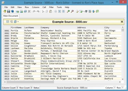 Ron's Editor Lite