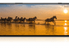 Sony Xperia 1 III – 4K-skärm