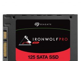 Seagate IronWolf Pro 125