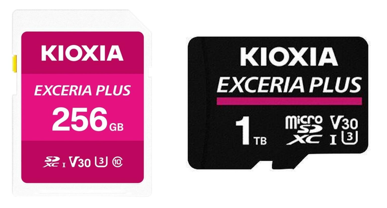Kioxia Exceria Plus mSD & SD huvud 3