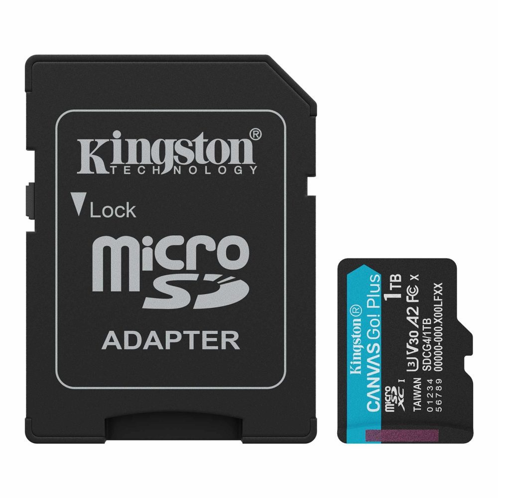 Kingston Canvas Go Plus