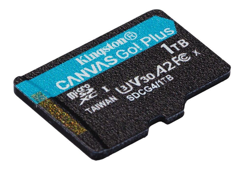 Kingston Canvas Go Plus