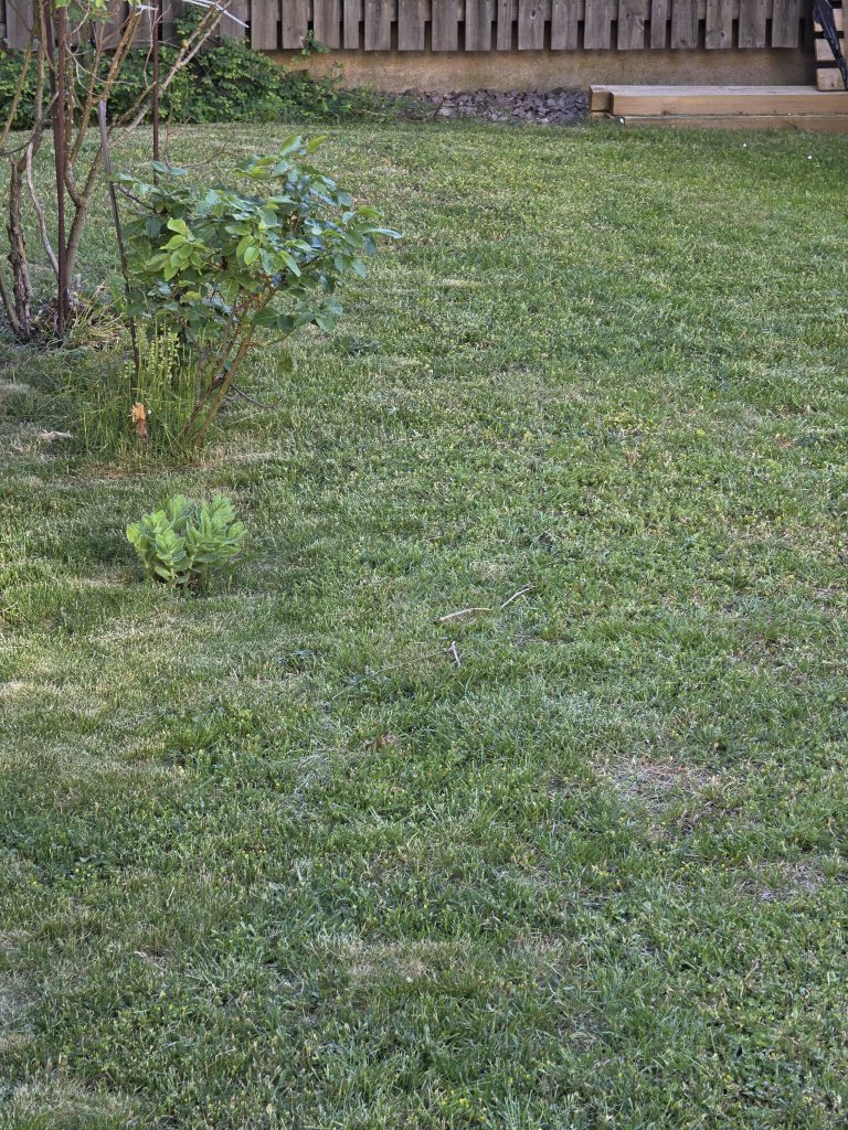 Segway Navimow H206
